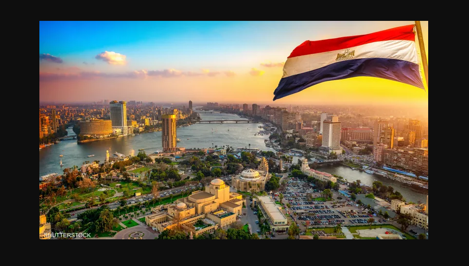 توقعات تنسيق دبلوم تجارة