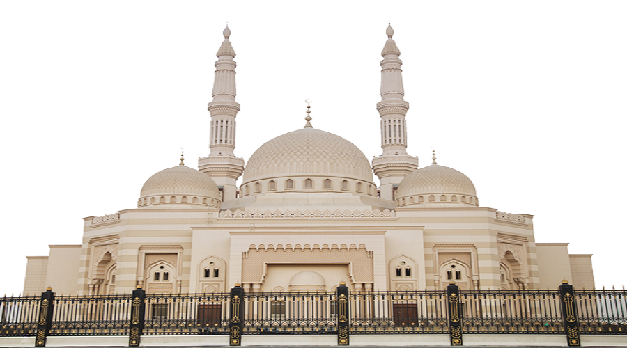 تخصصات الجامعة القاسمية