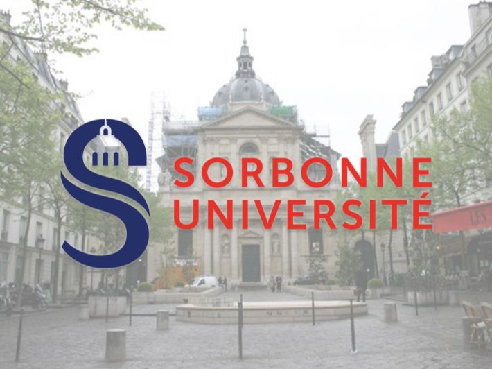 جدول تخصصات جامعة السوربون الجديدة 2024