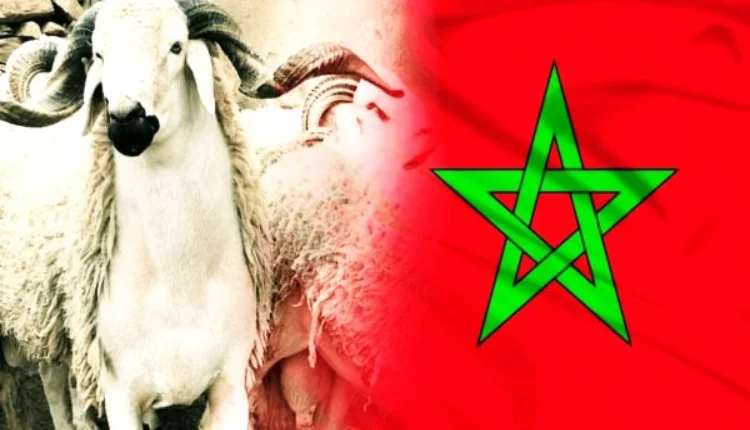 إلغاء عيد الأضحى في المغرب 2025
