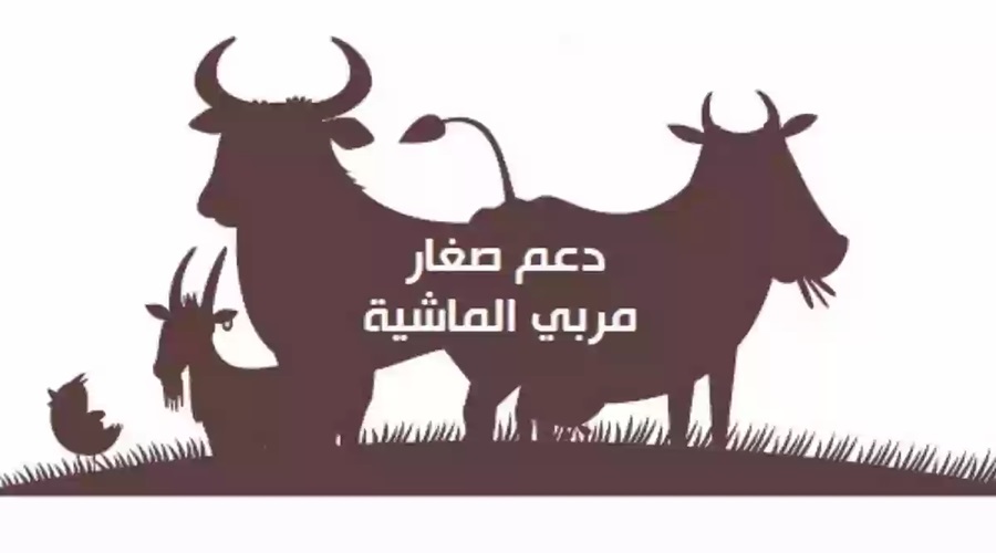شروط استحقاق دعم المواشي 2025