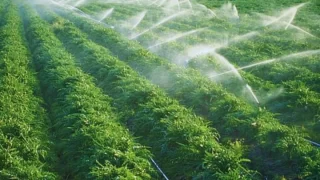 موعد صرف دعم ريف لشهر فبراير 2025: كيفية الاستعلام عن الدعم إلكترونيًا؟