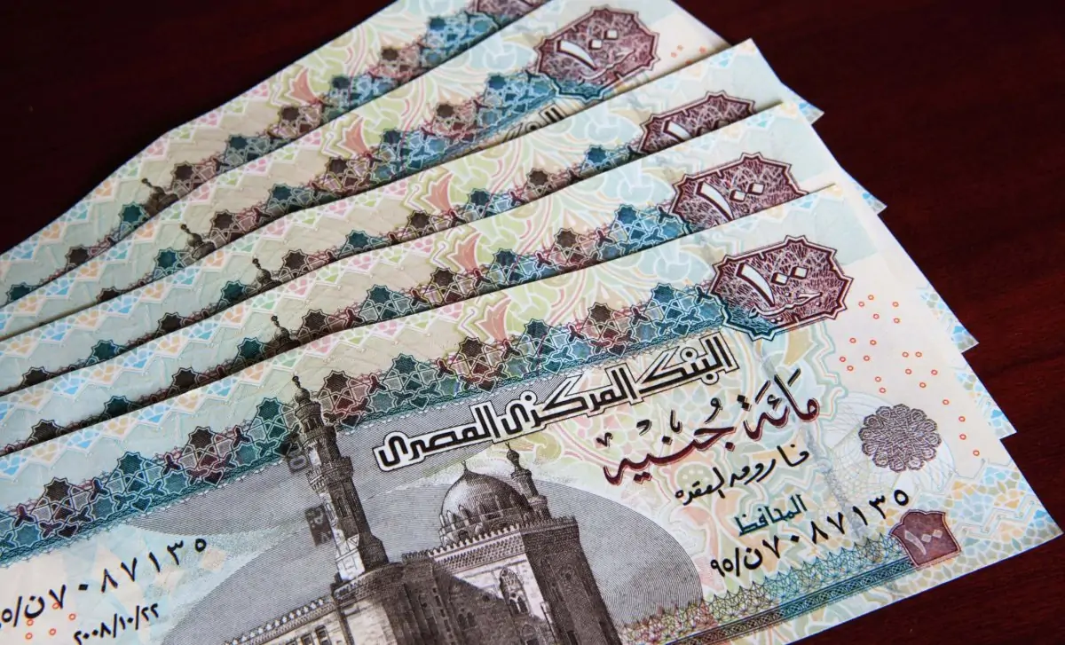 كم قيمة الميزة التأمينية للمعلمين بعد الزيادة 2025 في مصر؟